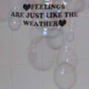 Meet your Posher, Gilberta